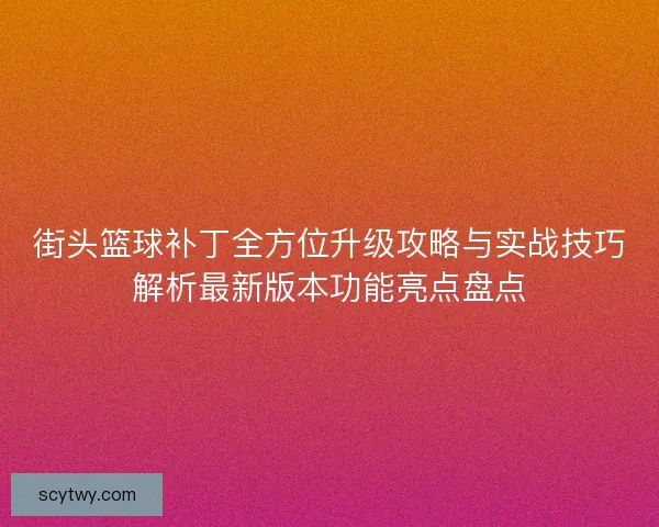 街头篮球补丁全方位升级攻略与实战技巧解析最新版本功能亮点盘点